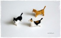 /album/galeria/kitti-3-cica-004-jpg/